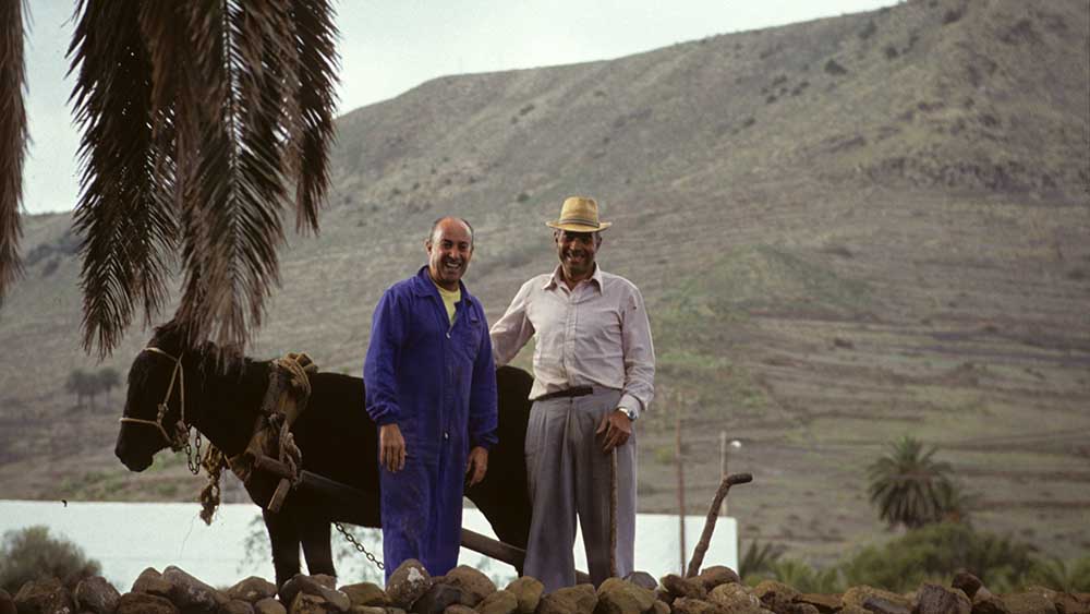 Manrique Esel Feld8 1000