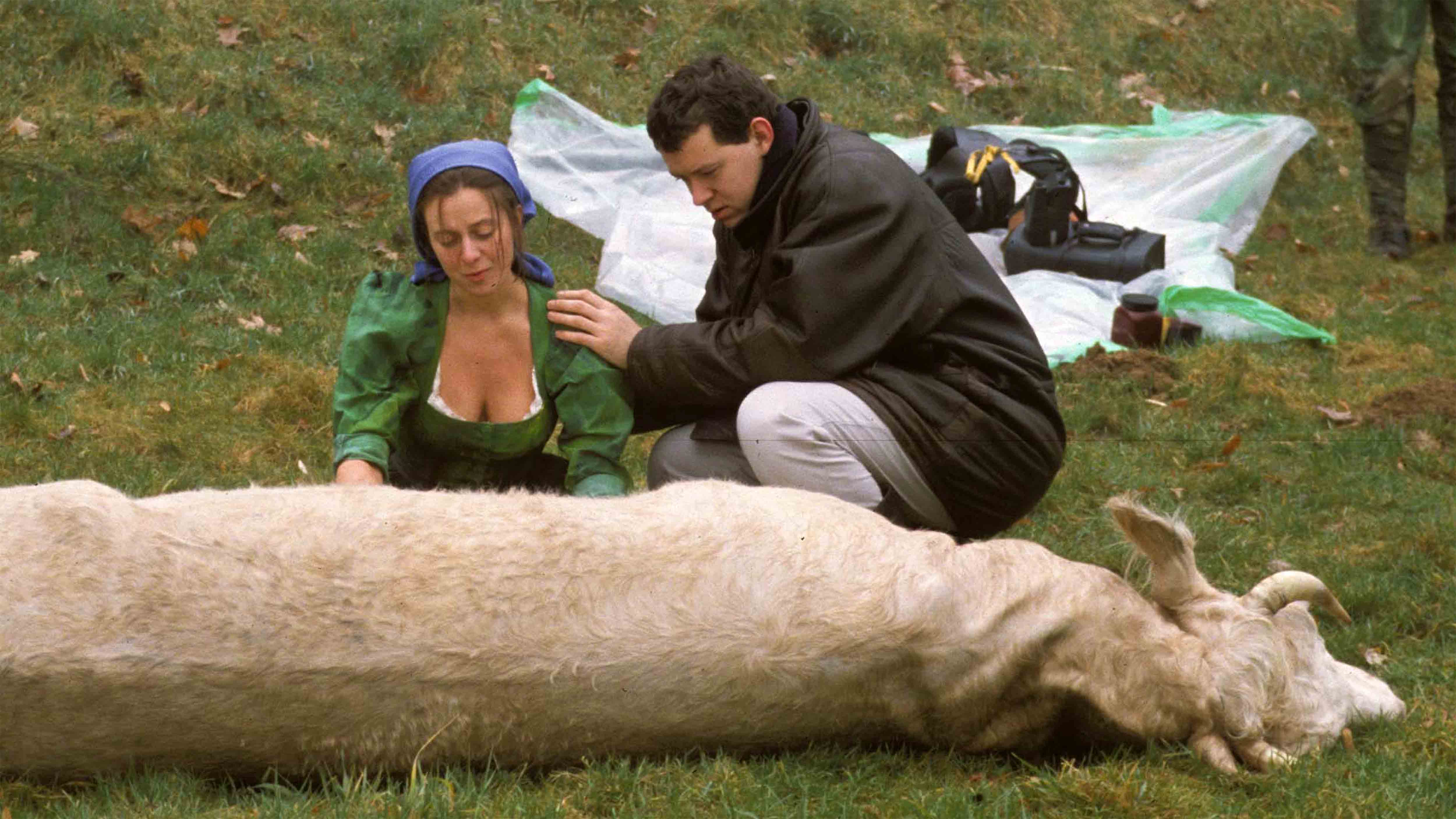 Regie Wiese Rind 5000